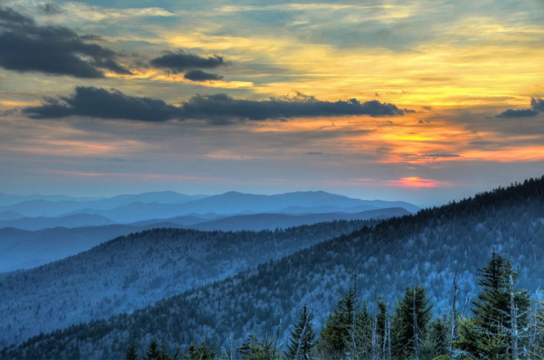 Best Photo Opportunities in the Great Smoky Mountains National Park