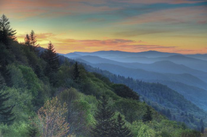 Best Photo Opportunities in the Great Smoky Mountains National Park